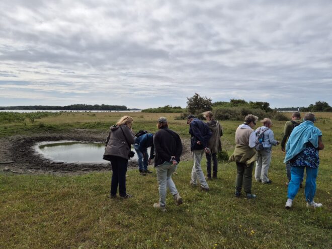 Excursie naar de Goudplaat op Noord-Beveland