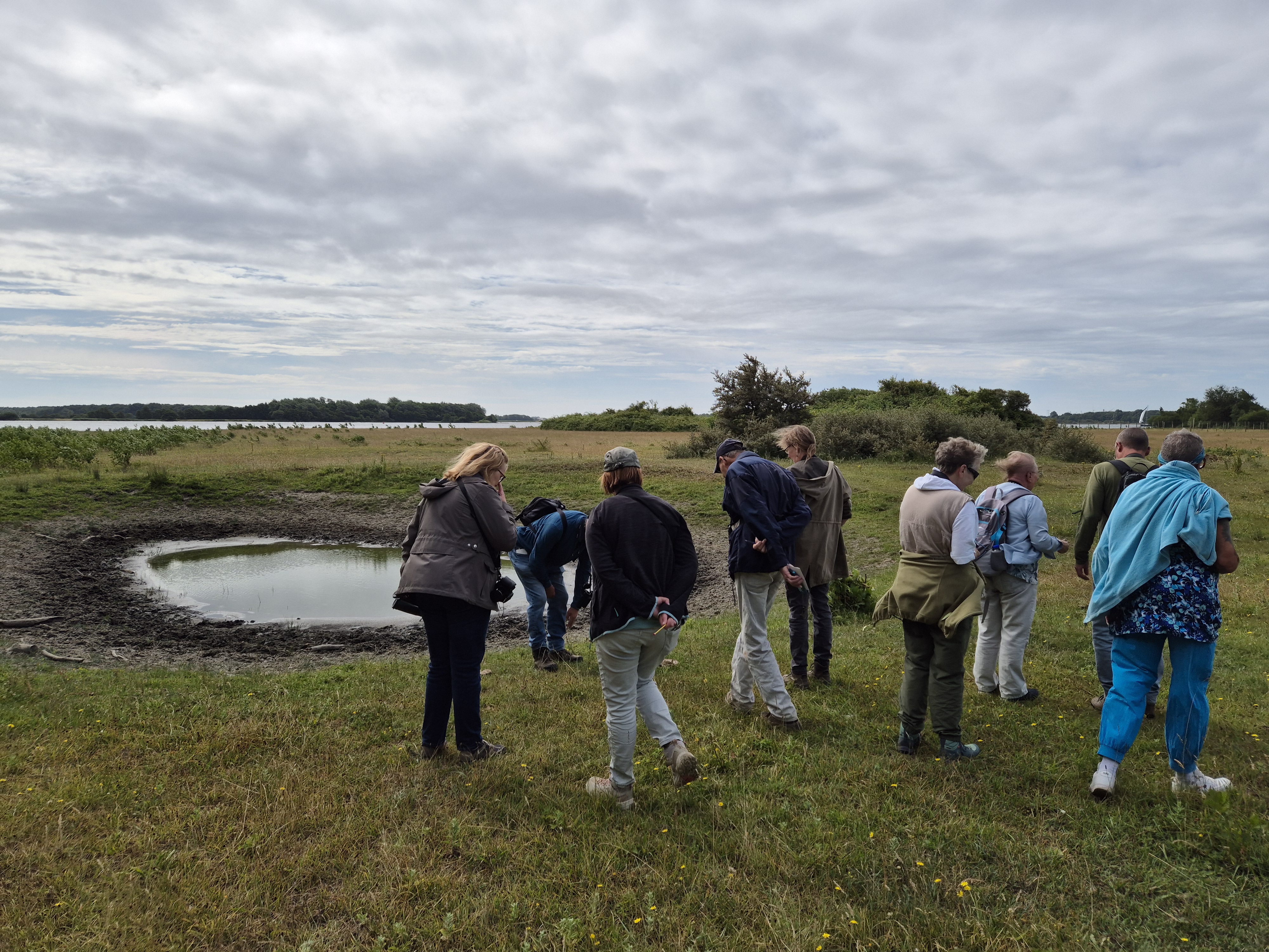 Excursie naar de Goudplaat op Noord-Beveland