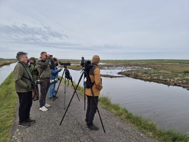 Geslaagde excursie Atlasproject in Yerseke Moer